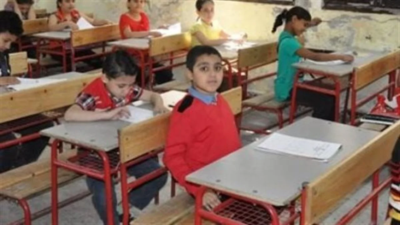 بوابة نتائج التعليم.. رابط استخراج شهادة الابتدائية بالرقم القومي لعام 2026